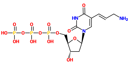 (image for) MC083104 Aa-dUTP